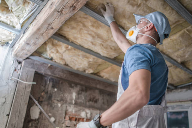Insulation Replacement Services in Topton, PA