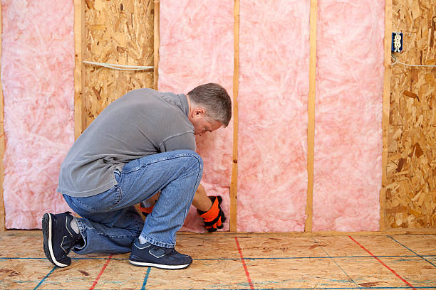 Best Insulation Replacement Services  in Topton, PA